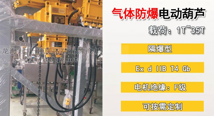 氣體防爆環(huán)鏈電動葫蘆 氣體防爆環(huán)鏈電動葫蘆