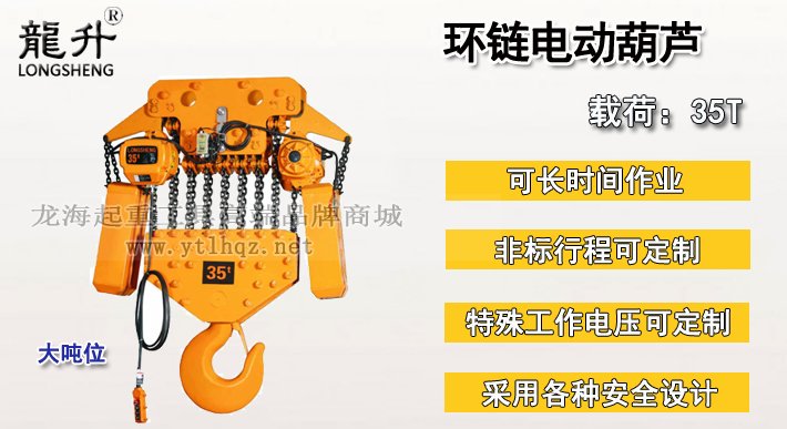 35噸環(huán)鏈電動(dòng)葫蘆圖片